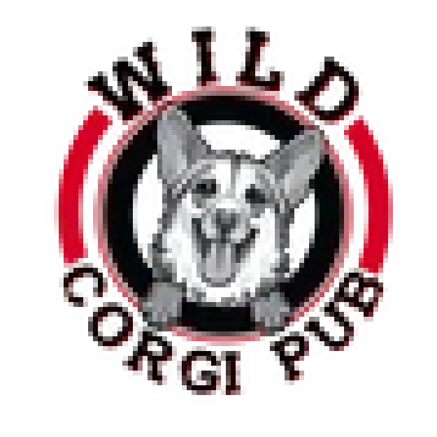 wild-corgie